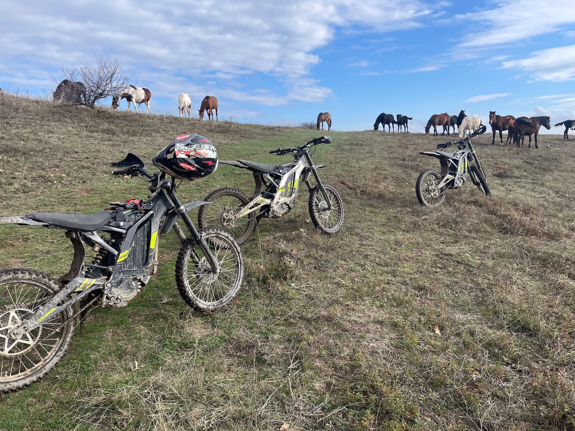 Three electric dirt bikes parked on a grassy hill, with a helmet resting on the handlebars of the front bike and a herd of horses grazing along the horizon under a partly cloudy blue sky.